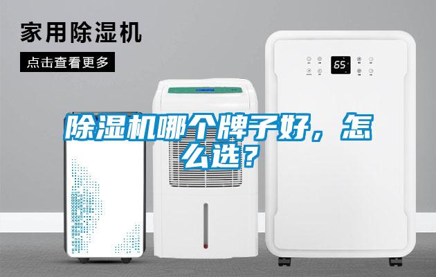 除濕機哪個牌子好，怎么選？