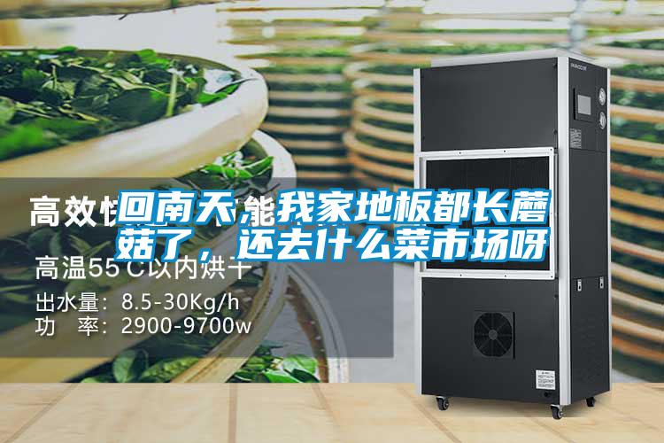 回南天，我家地板都長蘑菇了，還去什么菜市場呀