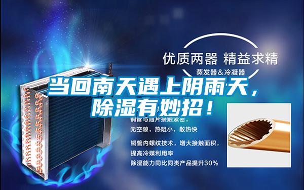 當回南天遇上陰雨天，除濕有妙招！