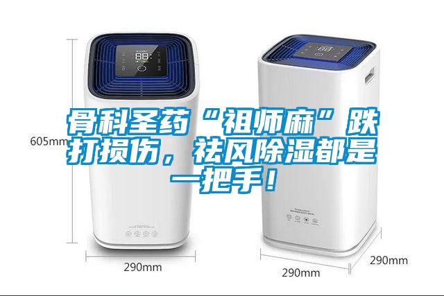 骨科圣藥“祖師麻”跌打損傷，祛風除濕都是一把手！