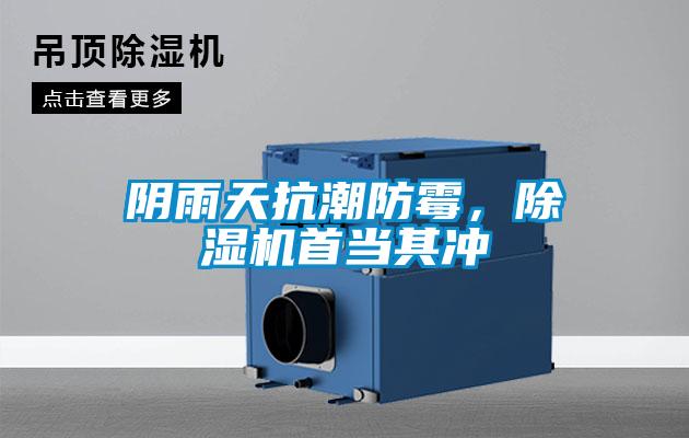 陰雨天抗潮防霉，除濕機首當其沖