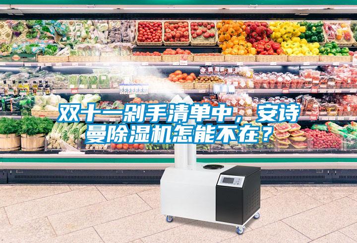 雙十一剁手清單中，安詩曼除濕機怎能不在？