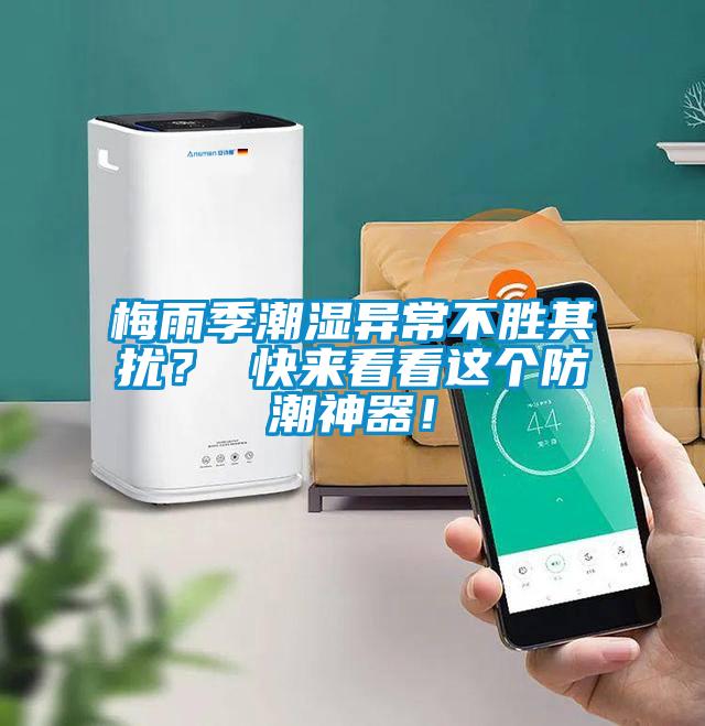 梅雨季潮濕異常不勝其擾？ 快來看看這個防潮神器！