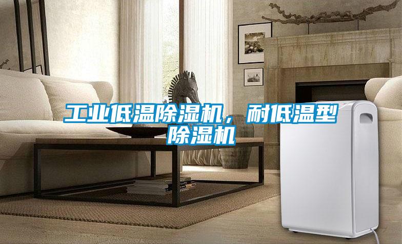 工業低溫除濕機，耐低溫型除濕機