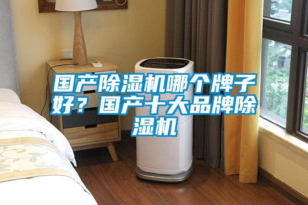 國產除濕機哪個牌子好？國產十大品牌除濕機