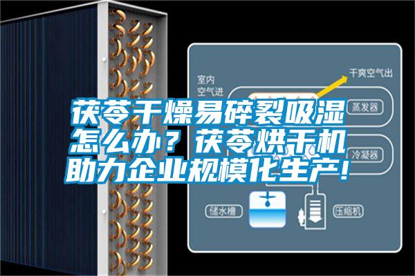 茯苓干燥易碎裂吸濕怎么辦？茯苓烘干機助力企業規?；a!