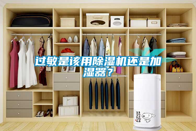 過敏是該用除濕機還是加濕器？