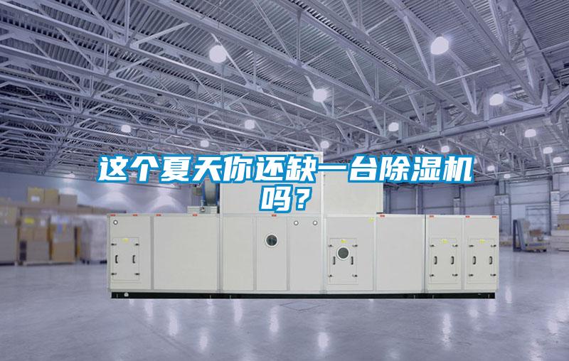 這個夏天你還缺一臺除濕機嗎？