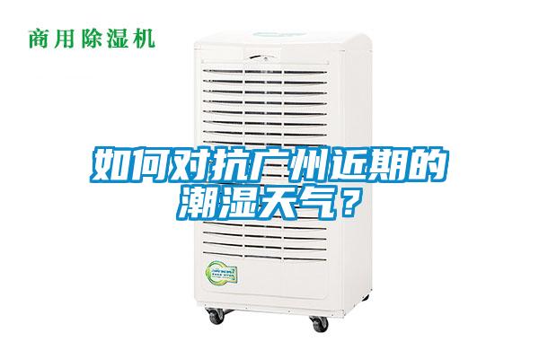 如何對抗廣州近期的潮濕天氣？