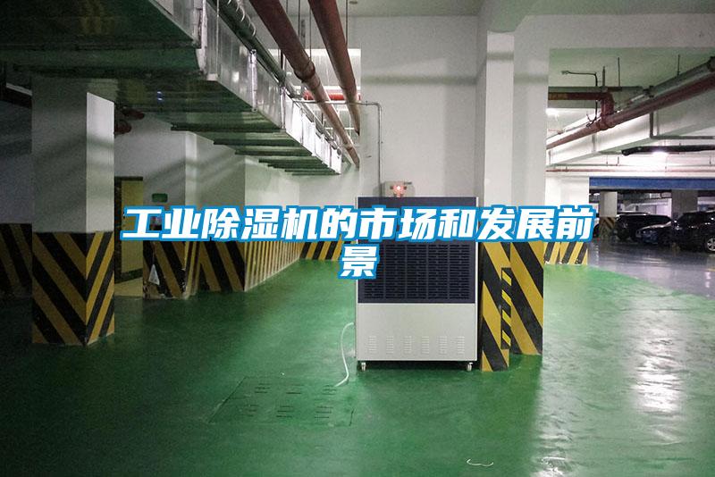 工業除濕機的市場和發展前景