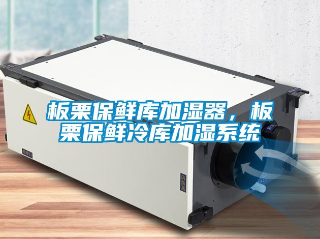 板栗保鮮庫加濕器，板栗保鮮冷庫加濕系統