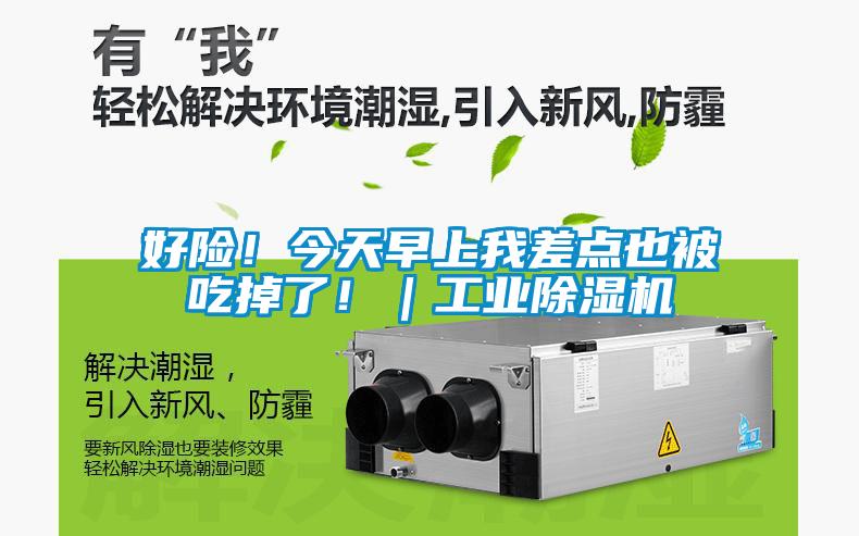 好險！今天早上我差點也被吃掉了?。I除濕機