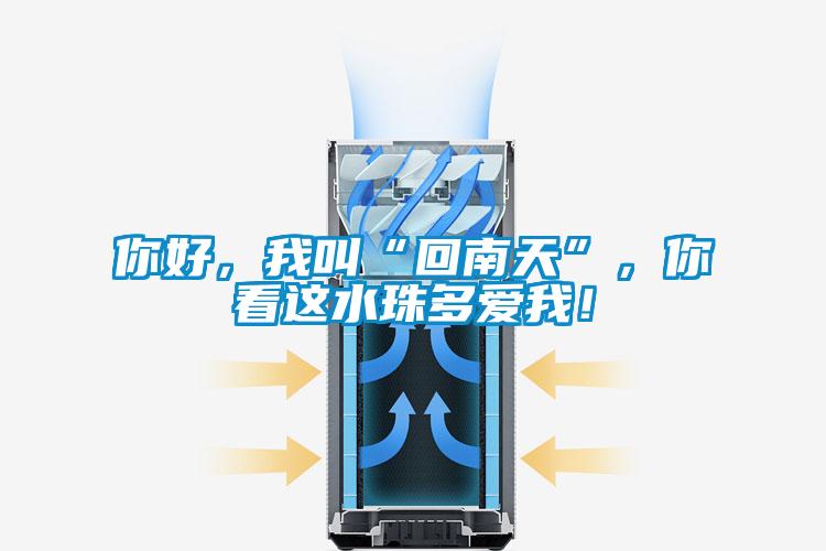 你好，我叫“回南天”，你看這水珠多愛我！