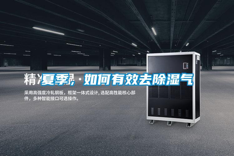 夏季，如何有效去除濕氣