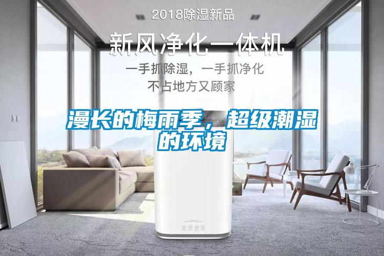 漫長的梅雨季，超級潮濕的環境