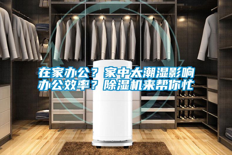 在家辦公？家中太潮濕影響辦公效率？除濕機來幫你忙