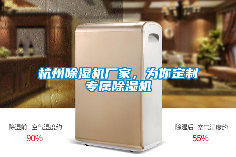杭州除濕機廠家，為你定制專屬除濕機