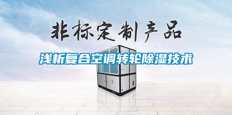 淺析復合空調轉輪除濕技術