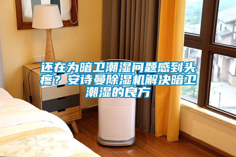 還在為暗衛潮濕問題感到頭疼？安詩曼除濕機解決暗衛潮濕的良方