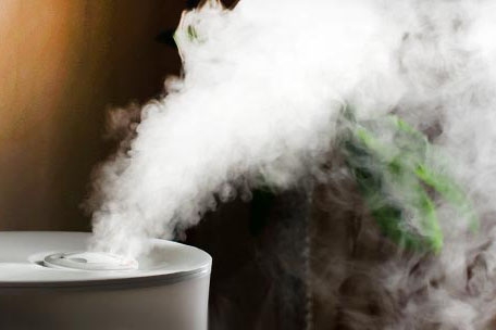 對抗梅雨季節潮濕，家用除濕機為您解決煩惱！