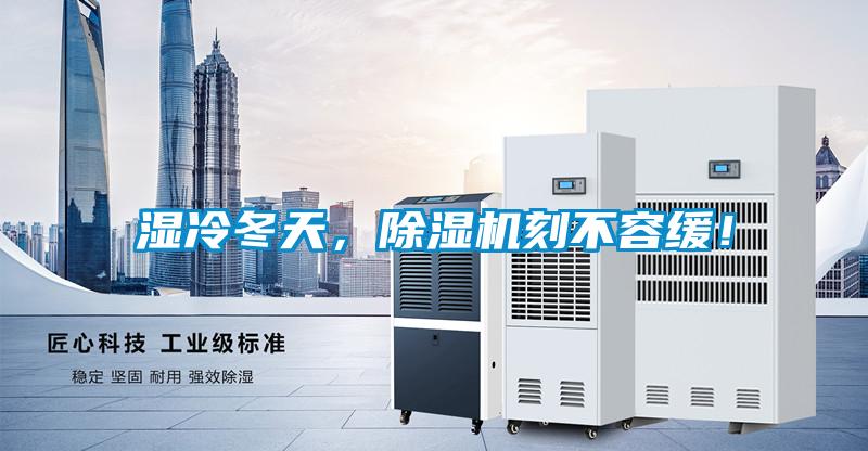 濕冷冬天，除濕機刻不容緩！