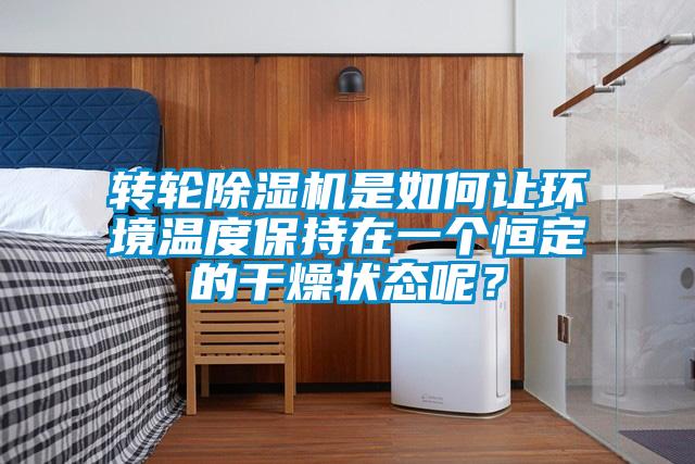 轉輪除濕機是如何讓環境溫度保持在一個恒定的干燥狀態呢？