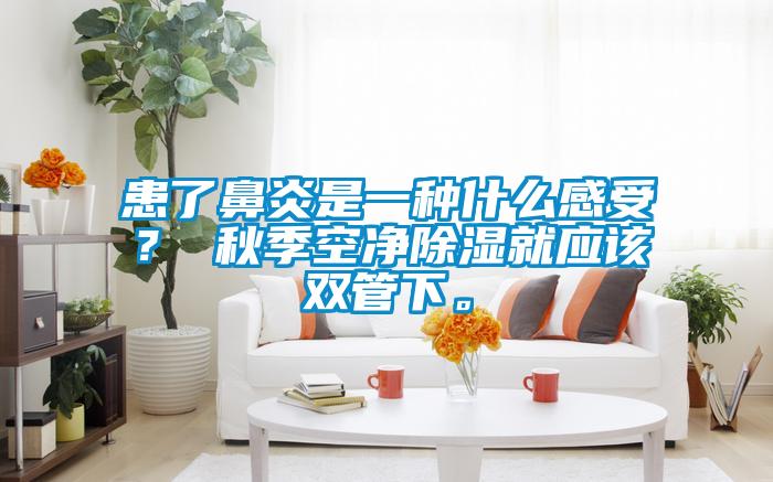 患了鼻炎是一種什么感受？ 秋季空凈除濕就應該雙管下。