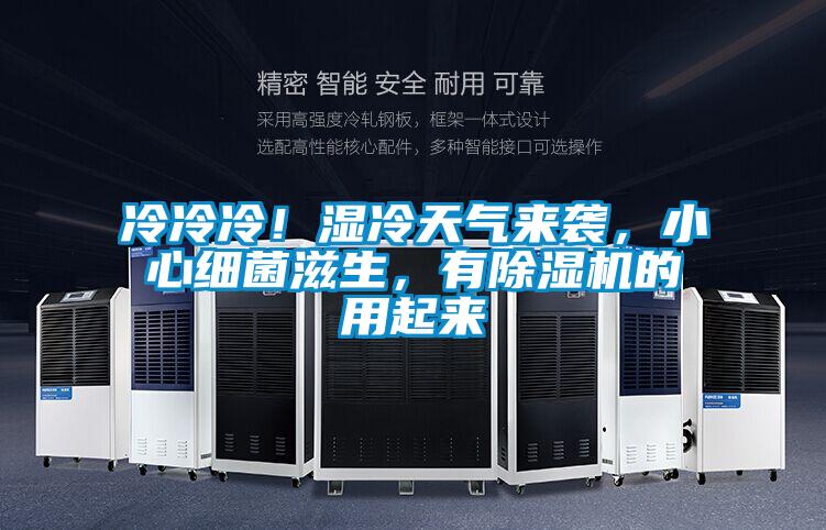 冷冷冷！濕冷天氣來襲，小心細菌滋生，有除濕機的用起來