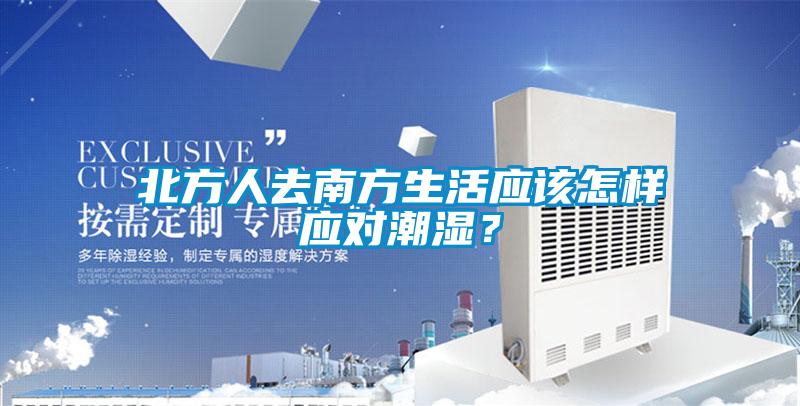 北方人去南方生活應該怎樣應對潮濕？