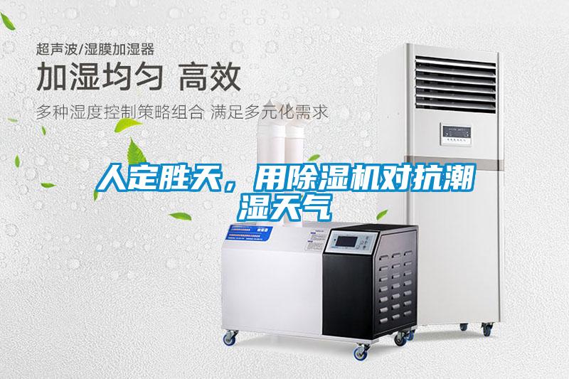人定勝天，用除濕機對抗潮濕天氣