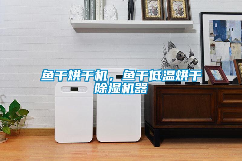 魚干烘干機，魚干低溫烘干除濕機器