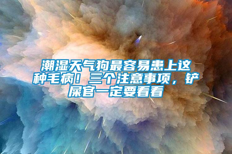 潮濕天氣狗最容易患上這種毛?。∪齻€注意事項，鏟屎官一定要看看