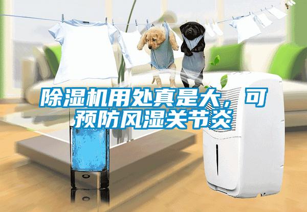 除濕機用處真是大，可預防風濕關節炎