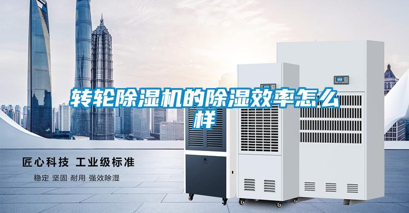 轉輪除濕機的除濕效率怎么樣