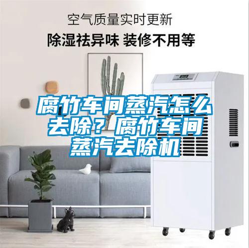 腐竹車間蒸汽怎么去除？腐竹車間蒸汽去除機