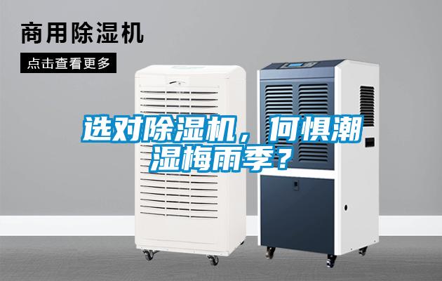 選對除濕機，何懼潮濕梅雨季？