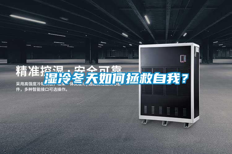 濕冷冬天如何拯救自我？