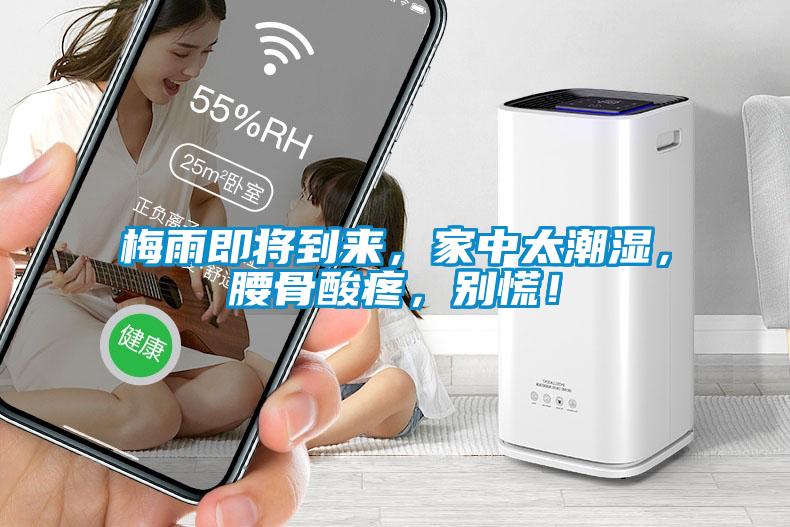 梅雨即將到來，家中太潮濕，腰骨酸疼，別慌！