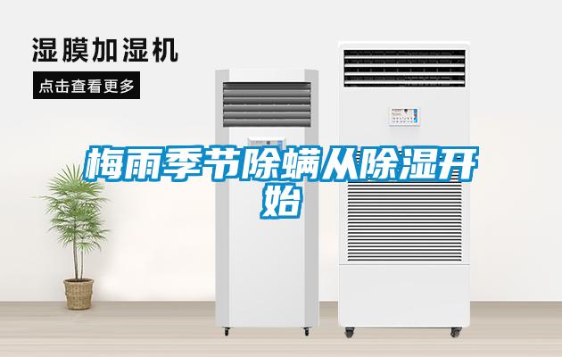 梅雨季節除螨從除濕開始