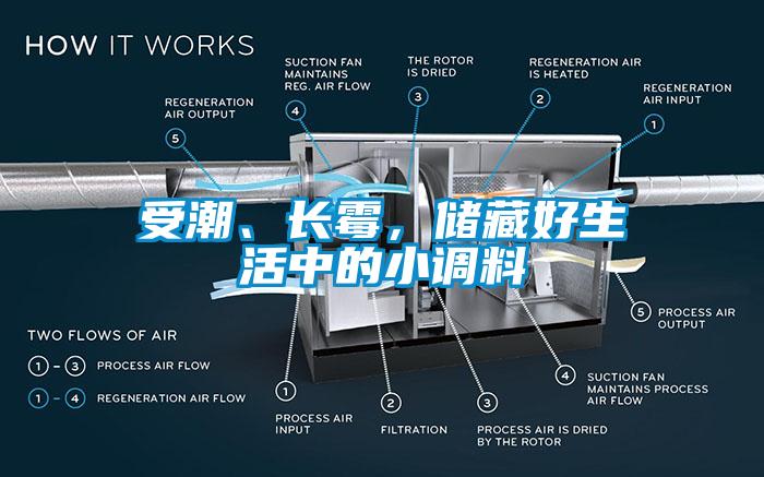 受潮、長霉，儲藏好生活中的小調料