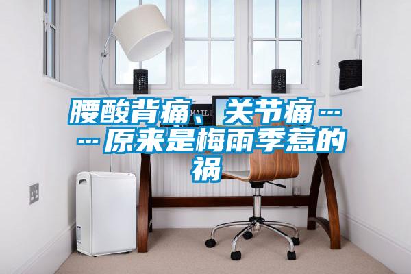 腰酸背痛、關節痛……原來是梅雨季惹的禍