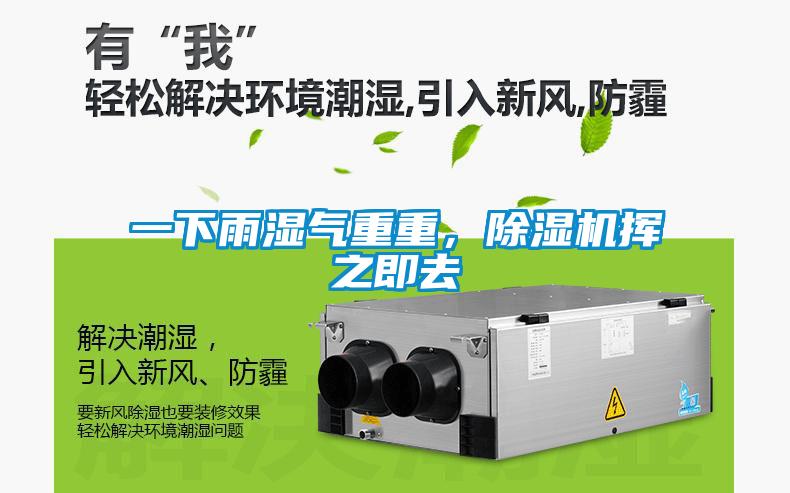 一下雨濕氣重重，除濕機揮之即去
