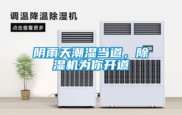 陰雨天潮濕當道，除濕機為你開道