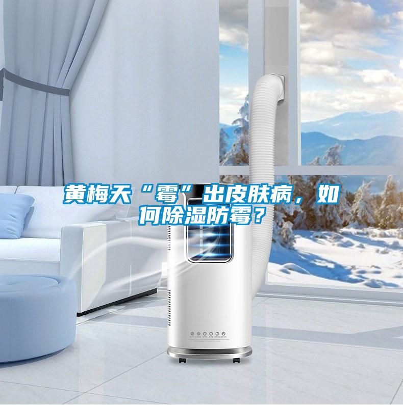 黃梅天“霉”出皮膚病，如何除濕防霉？