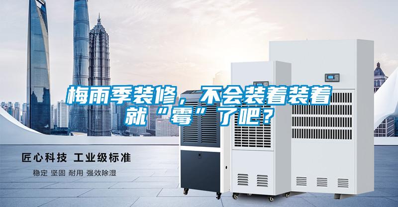 梅雨季裝修，不會裝著裝著就“霉”了吧？
