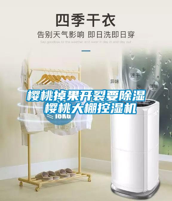 櫻桃掉果開裂要除濕 櫻桃大棚控濕機
