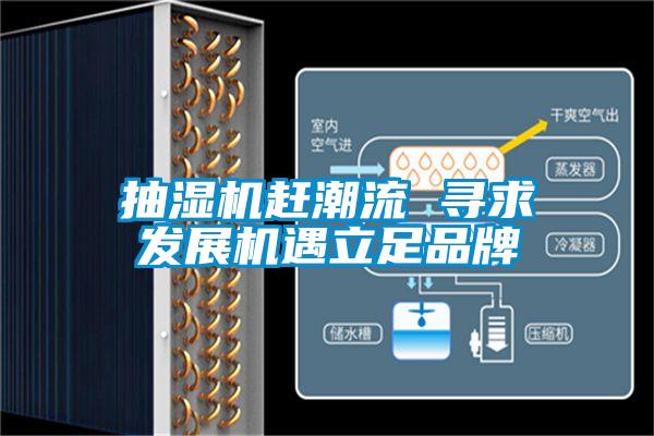 抽濕機趕潮流 尋求發展機遇立足品牌