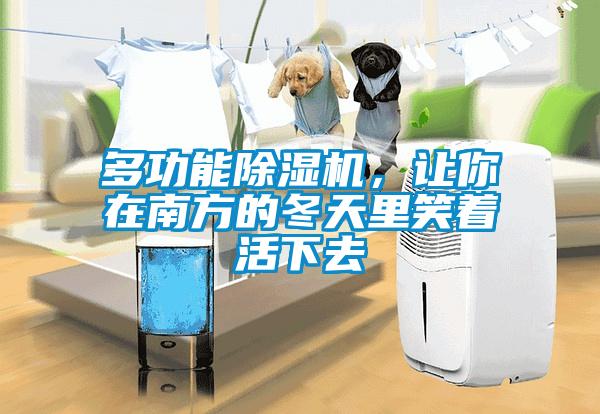 多功能除濕機，讓你在南方的冬天里笑著活下去