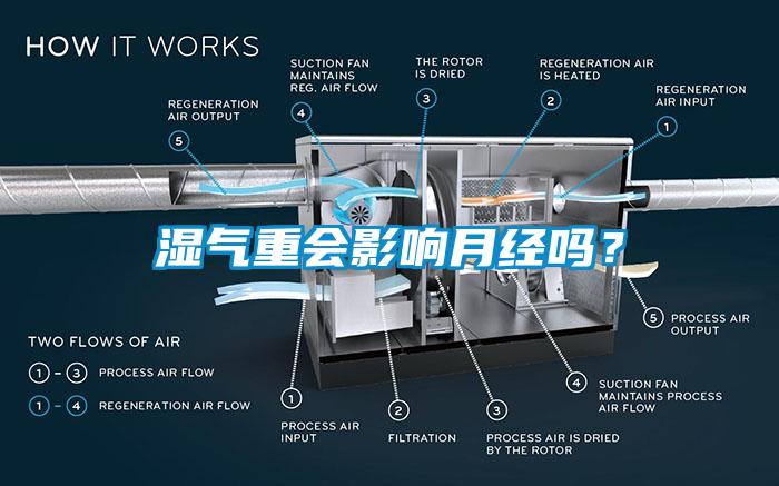 濕氣重會影響月經嗎？