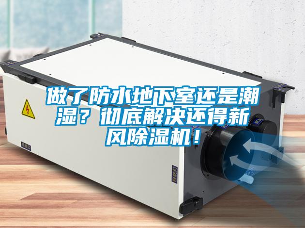 做了防水地下室還是潮濕？徹底解決還得新風除濕機！
